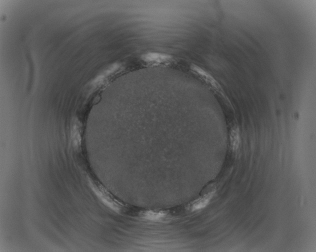 X0000082740570200702091906