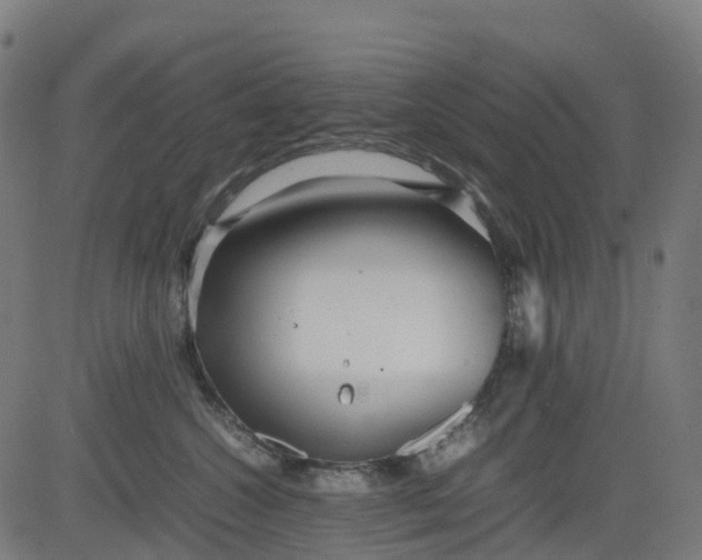 X0000082740572200702091906