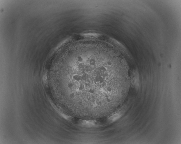 X0000082740573200702091906