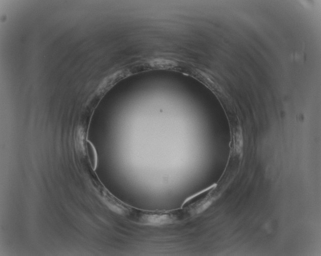 X0000082740575200702091906