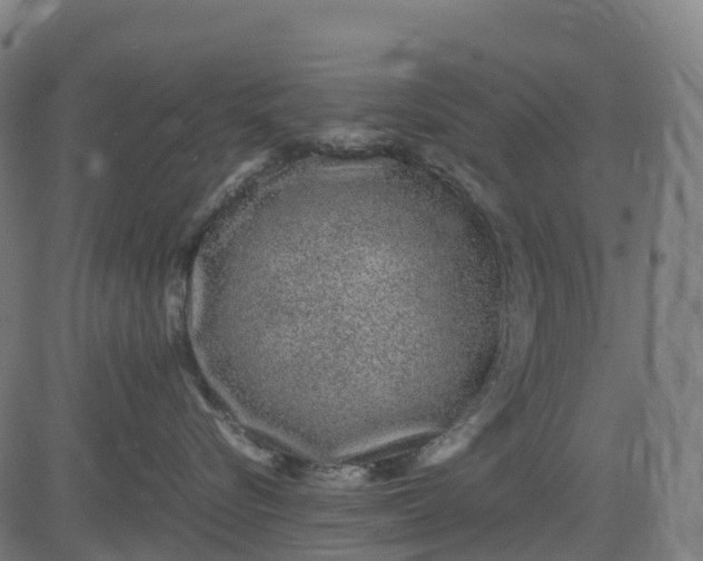 X0000082740576200702091906