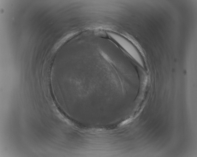 X0000082740577200702091905