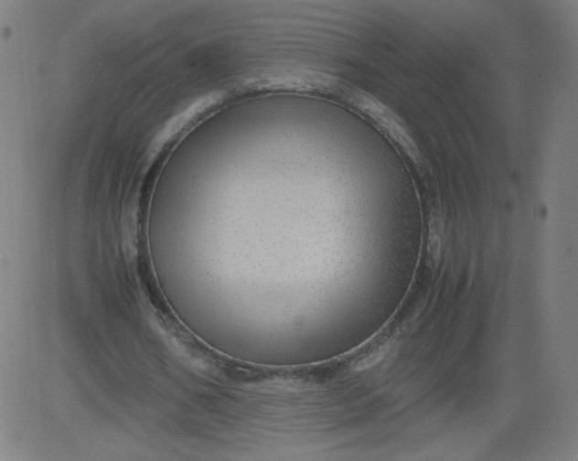 X0000082740578200702091905