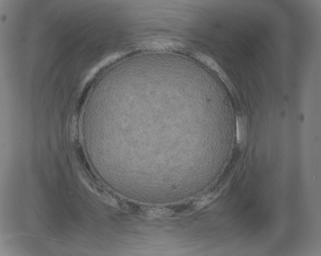 X0000082740579200702091905