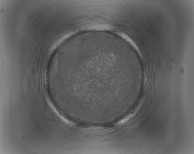 X0000082740581200702091905