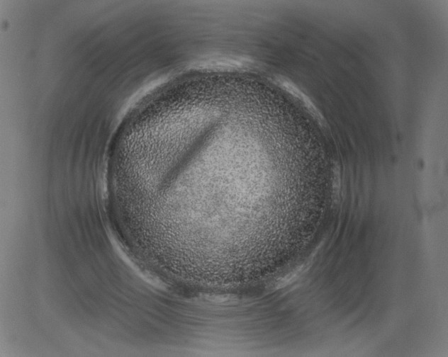 X0000082740582200702091905