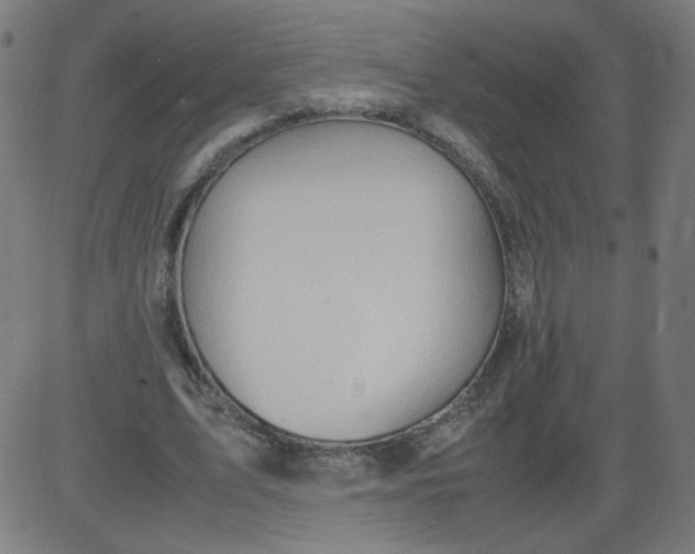 X0000082740583200702091905