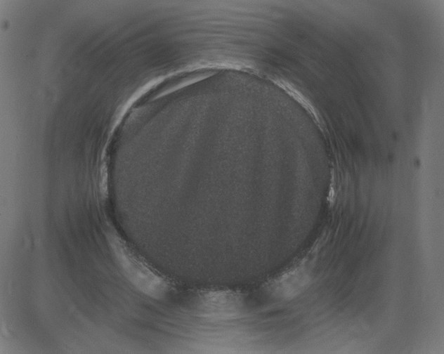 X0000082740584200702091905