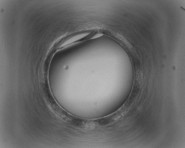 X0000082740587200702091905