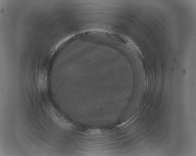 X0000082740588200702091905