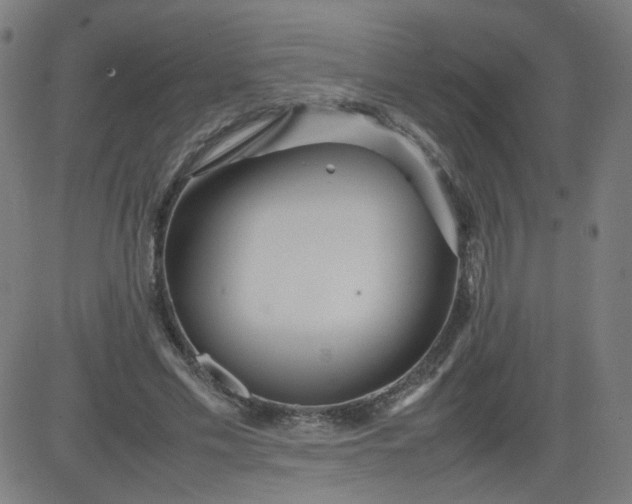 X0000082740589200702091905