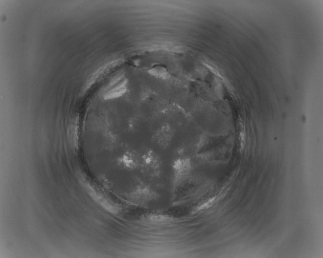 X0000082740590200702091905