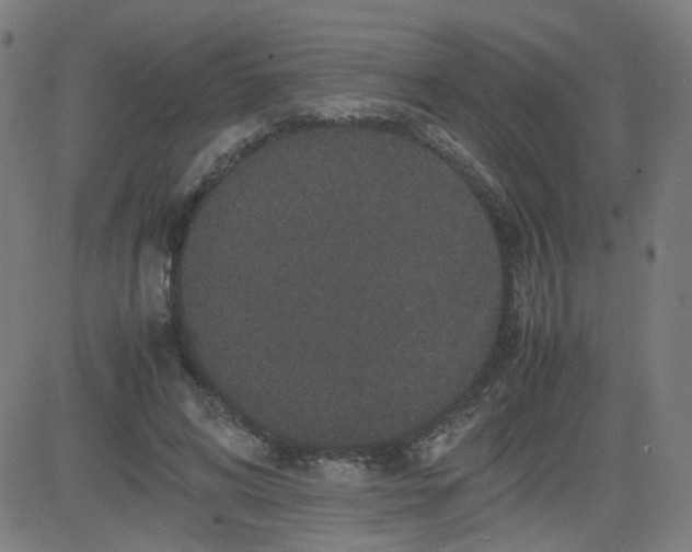 X0000082740592200702091905