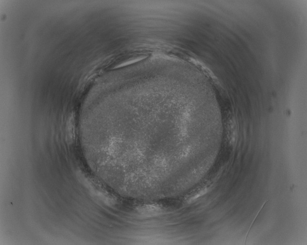 X0000082740594200702091905