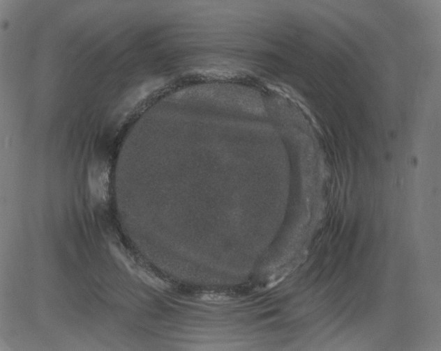 X0000082740596200702091905