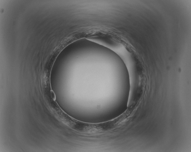 X0000082740597200702091905