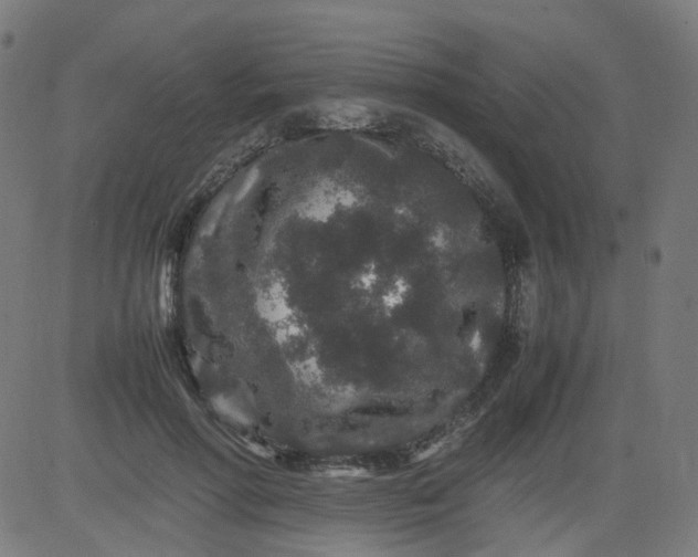 X0000082740598200702091905