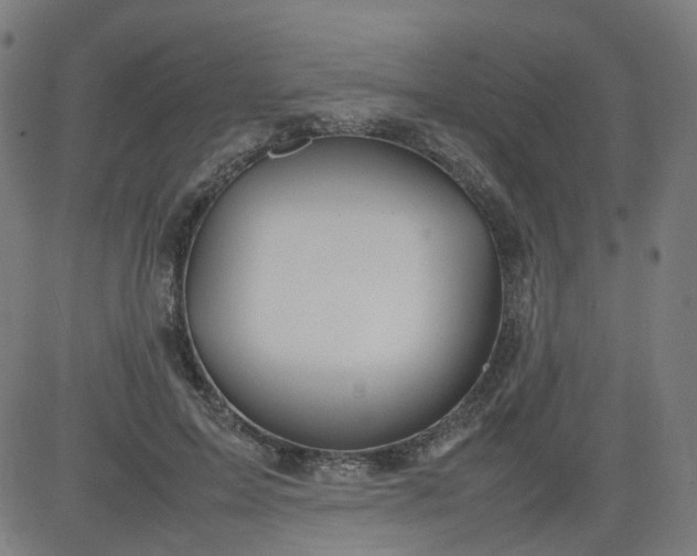 X0000082740599200702091905