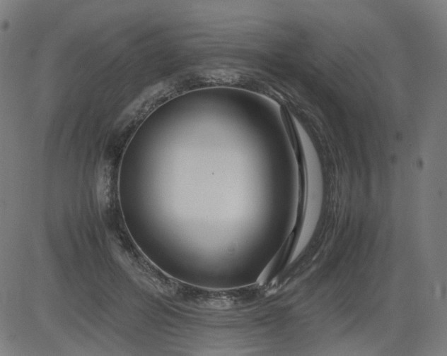 X0000082740600200702091905