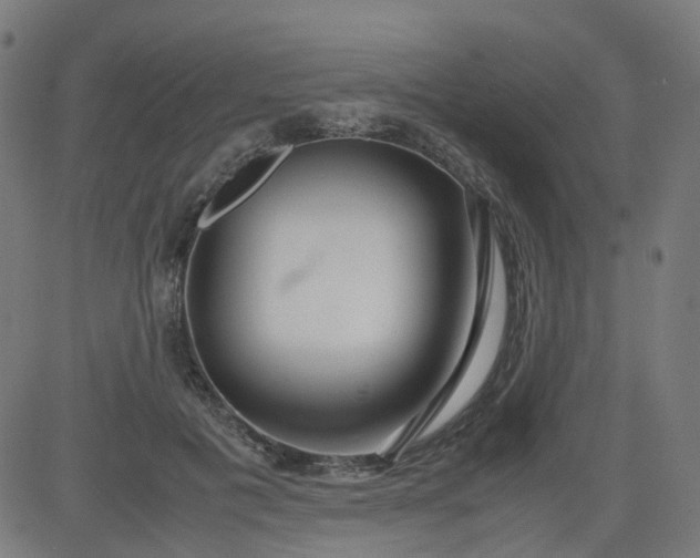 X0000082740601200702091905