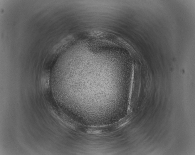 X0000082740602200702091905