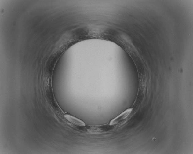 X0000082740603200702091905