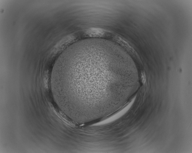 X0000082740604200702091905