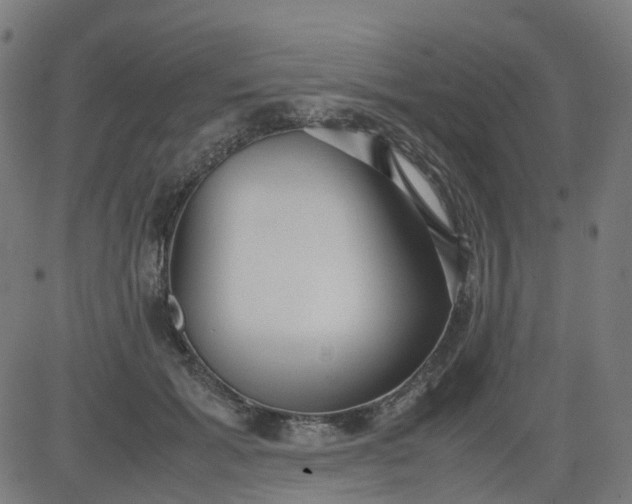 X0000082740605200702091905