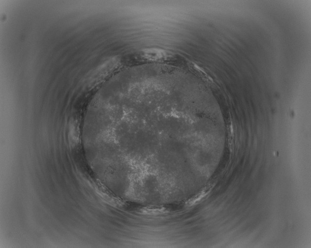 X0000082740606200702091905