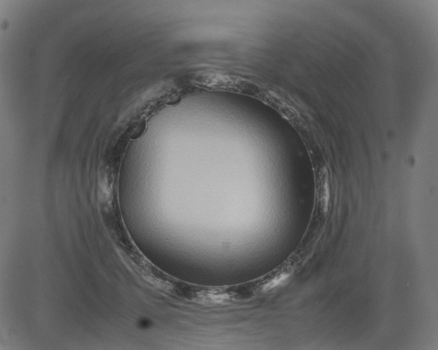 X0000082740607200702091905