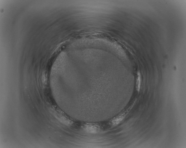 X0000082740608200702091905