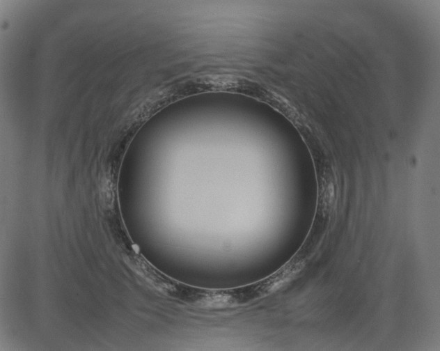 X0000082740609200702091905