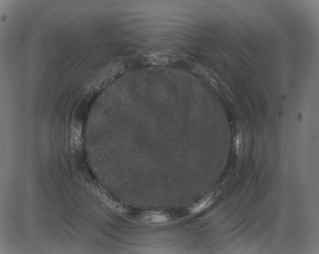 X0000082740610200702091905