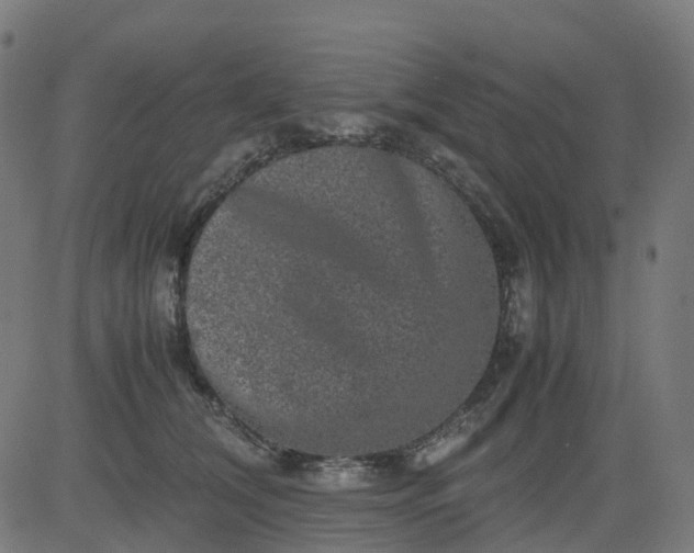 X0000082740612200702091905