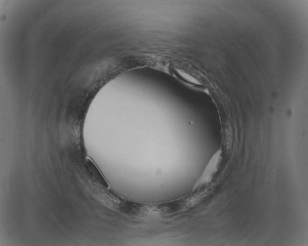 X0000082740613200702091905