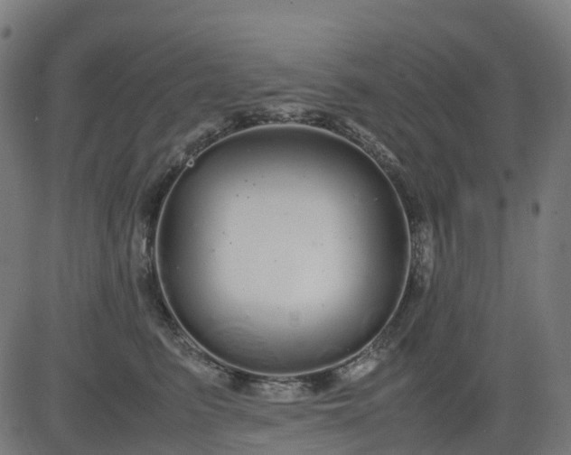 X0000082740615200702091905