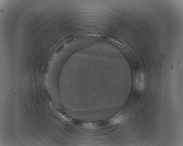 X0000082740616200702091905