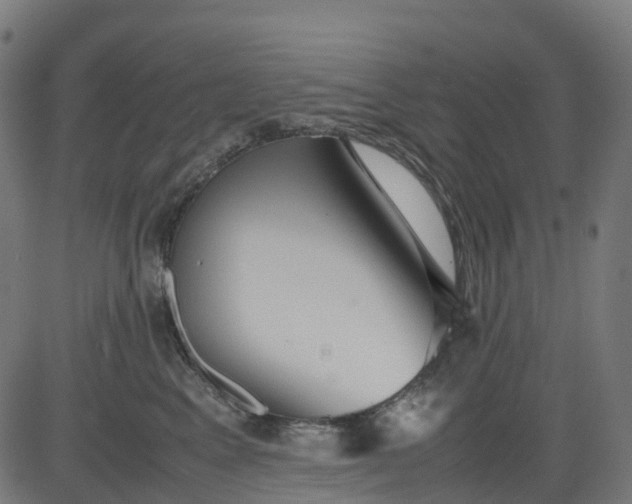 X0000082740617200702091905