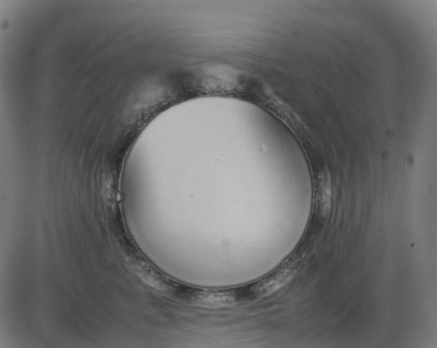 X0000082740619200702091905