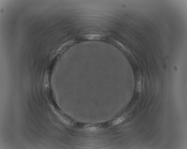 X0000082740620200702091905