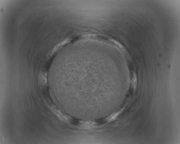 X0000082740621200702091905