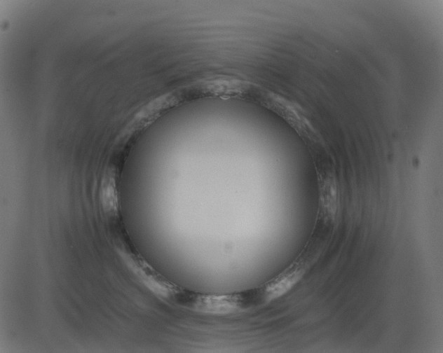 X0000082740622200702091905