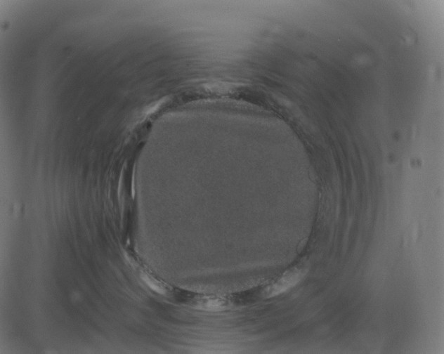 X0000082740624200702091905