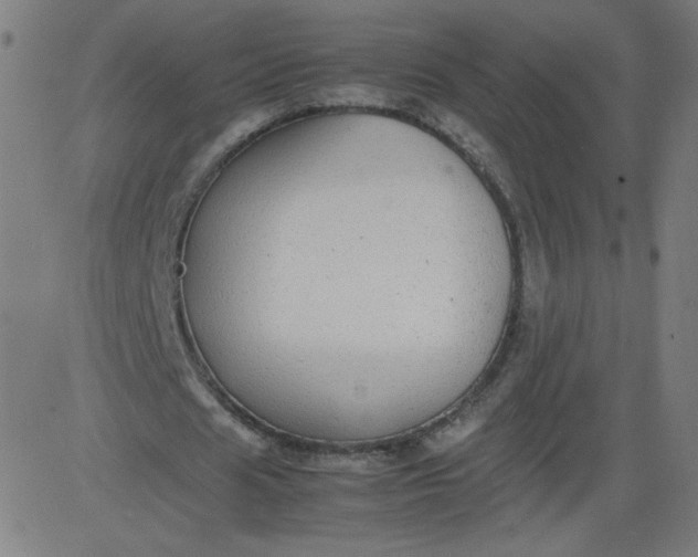 X0000082740625200702091904