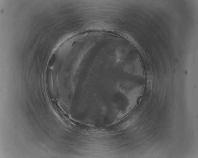 X0000082740626200702091904