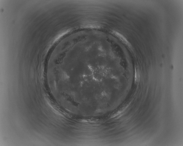 X0000082740627200702091904