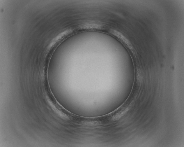 X0000082740629200702091904