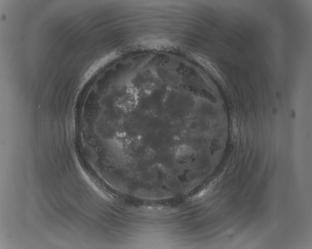 X0000082740630200702091904