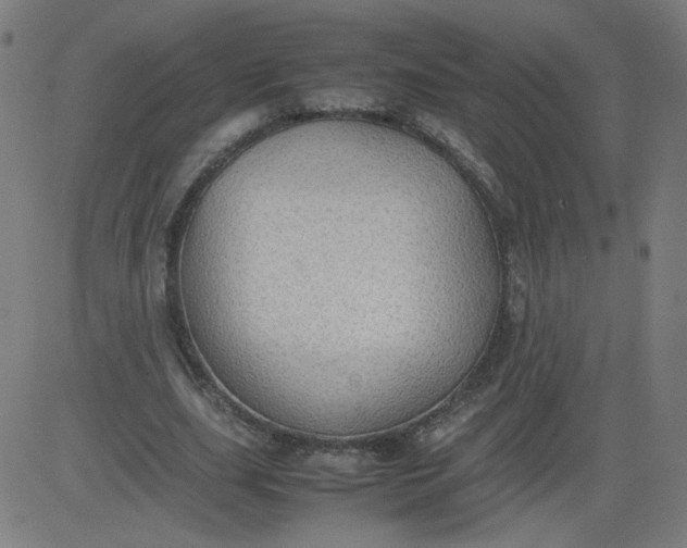 X0000082740631200702091904