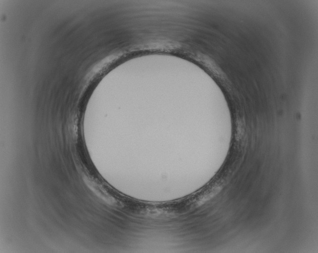 X0000082740632200702091904